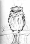bird02.jpg (22243 bytes)
