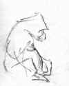 gorilla_01c.jpg (13506 bytes)