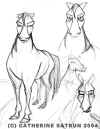 horse03.jpg (220641 bytes)