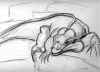 lizard.jpg (20781 bytes)